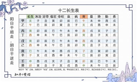 十二長生表運用|八字算命基礎——十二長生